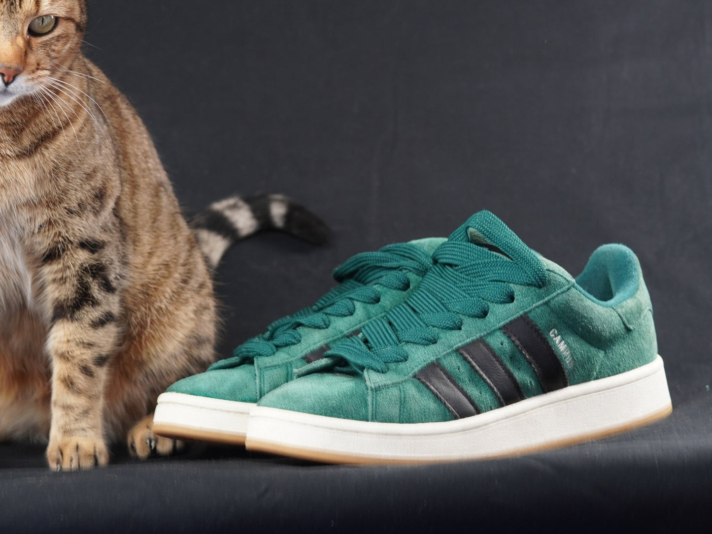 Használt Adidas Campus Black and green - Steals.hu Buy Sell Trade Sneakers